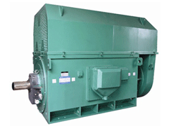 临泽Y系列6KV高压电机一年质保